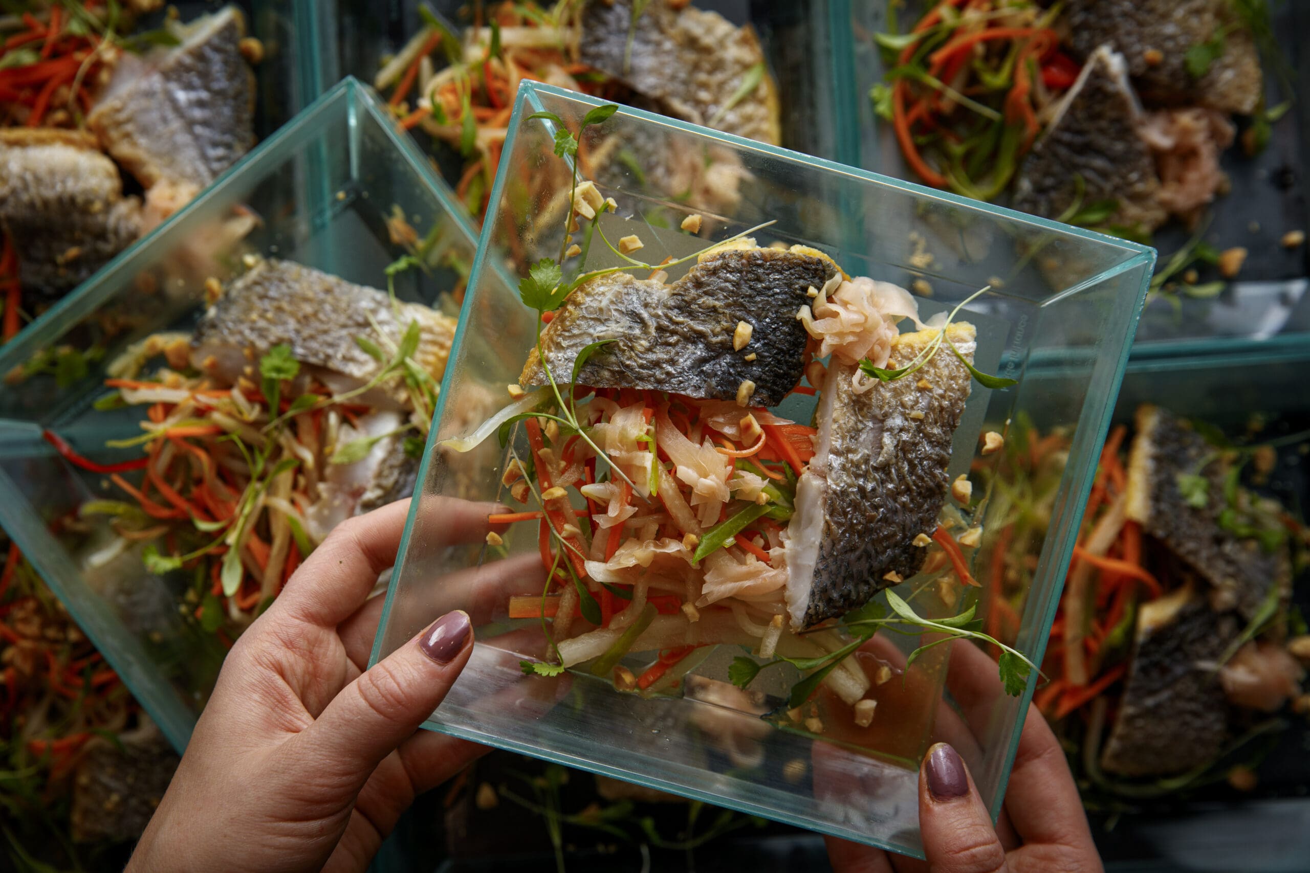 Close-up of hands holding a glass container with cooked fish fillet and a colourful mix of shredded vegetables and herbs. Several similar containers with the same meal are visible in the background.